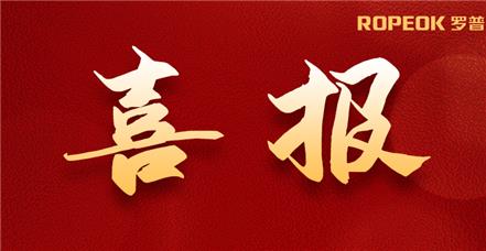 喜报 | 鸿运国际集团再次通过CMMI5级认证